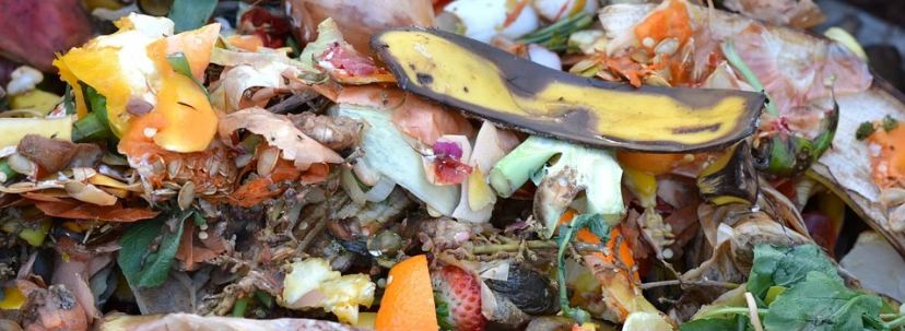 fruit waste, vegetable waste, compost