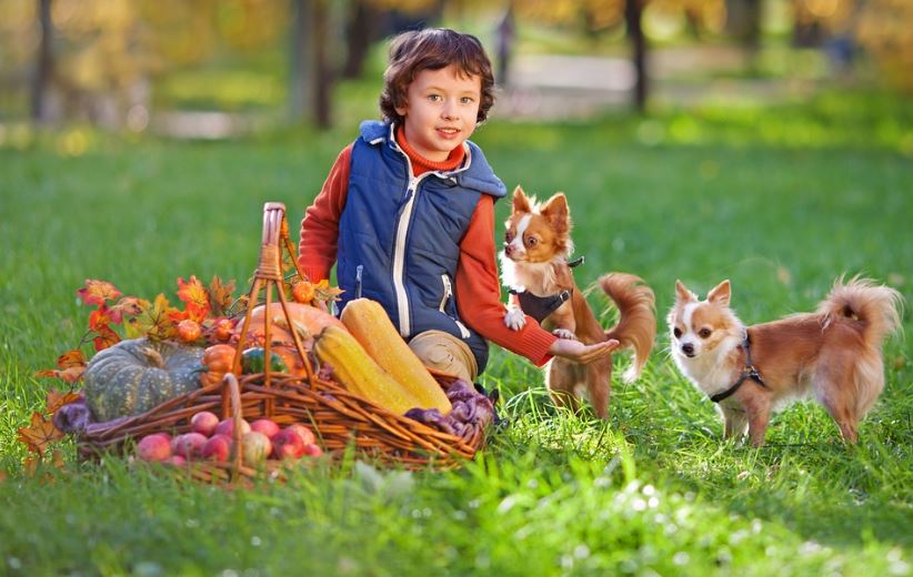 Boy with pets