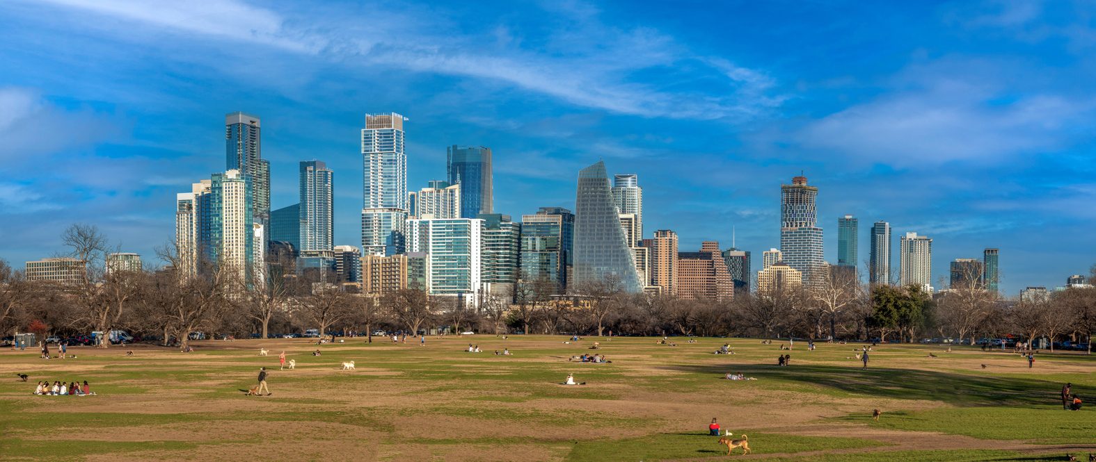 The growing skyline of Austin behind viewed from Zilker Park